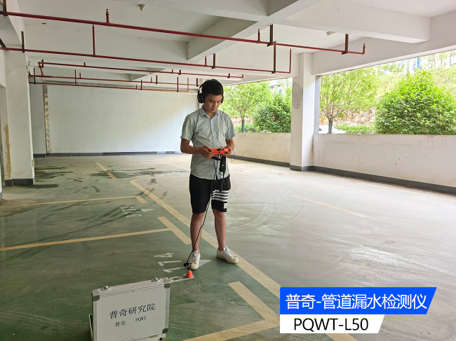 89550620.jpg 1313131.jpg