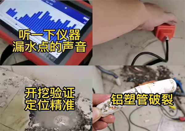 60514946.jpg 案例拼接圖4.jpg