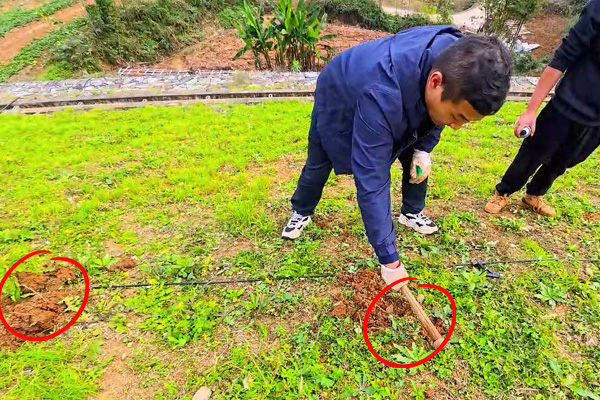  普奇PQ227A 堤防滲漏檢測(cè)儀